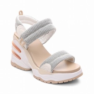 Ash Cosmos Platform Keilsandalen Damen Grau | 875543-660