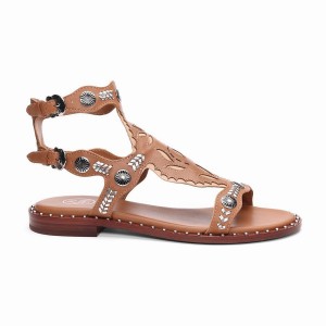 Ash Paraiba Embellished Flat Sandalen Damen Braun | 570326-931