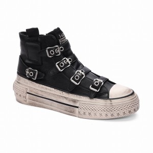 Ash Rainbow Leather Buckle Hightop Sneakers Damen Schwarz | 740072-599