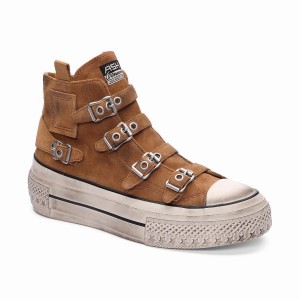 Ash Rainbow Suede Buckle Hightop Sneakers Damen Braun | 970224-036